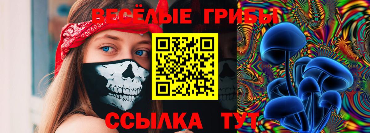 Норильск  Псилоцибиновые грибы ЛСД  Вход с VPN 